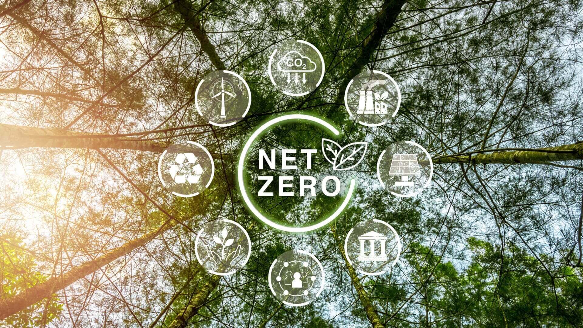 C 20240802173735 (1) (1) (1) (1) (1)